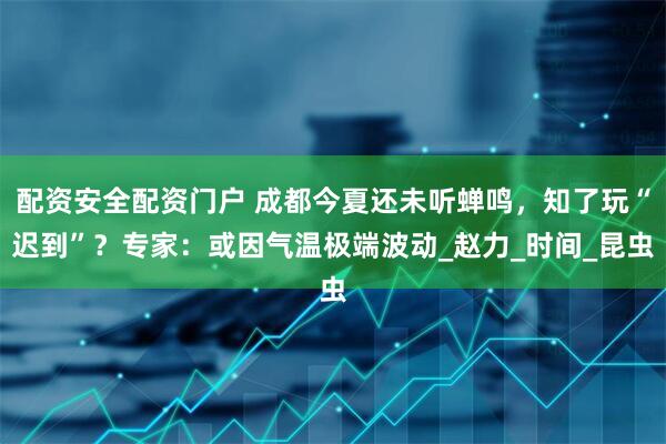 配资安全配资门户 成都今夏还未听蝉鸣，知了玩“迟到”？专家：或因气温极端波动_赵力_时间_昆虫