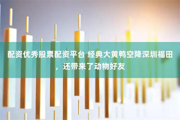 配资优秀股票配资平台 经典大黄鸭空降深圳福田，还带来了动物好友